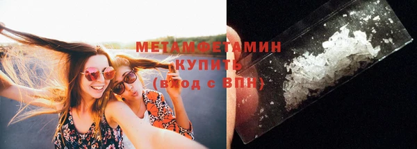 прущие грибы Тайга