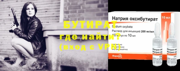 прущие грибы Тайга