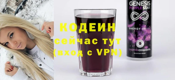 прущие грибы Тайга