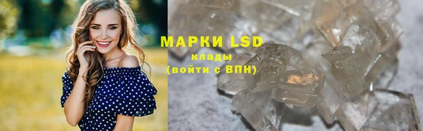 стафф Вязьма