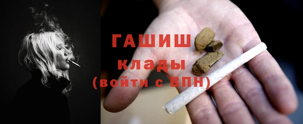 прущие грибы Тайга