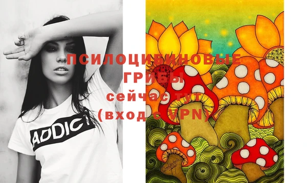 прущие грибы Вяземский