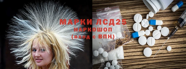 прущие грибы Вяземский