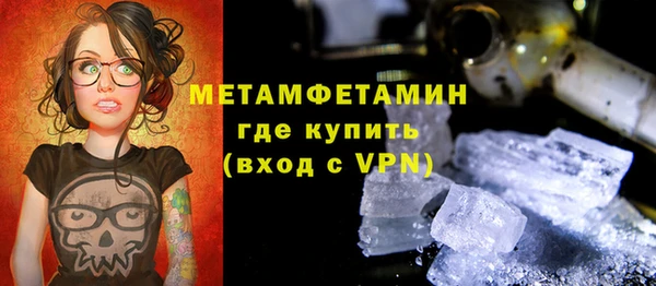 прущие грибы Вяземский
