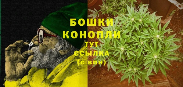 прущие грибы Тайга