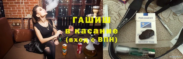 прущие грибы Тайга