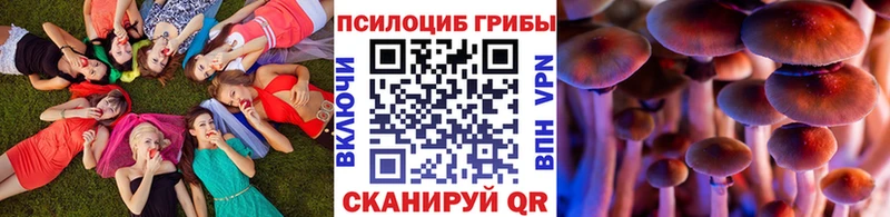 дарнет шоп  OMG вход  Псилоцибиновые грибы MAGIC MUSHROOMS  Севастополь 