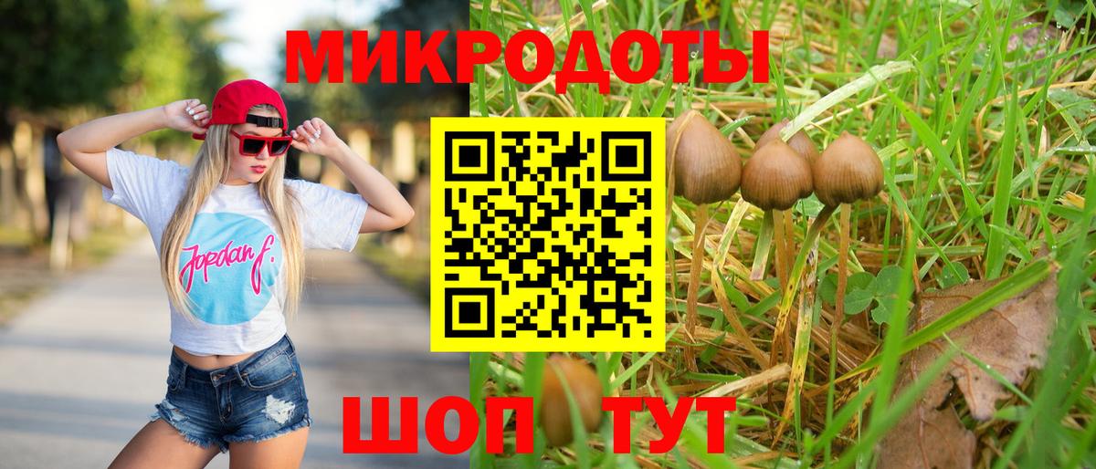 Псилоцибиновые грибы MAGIC MUSHROOMS  Вход с VPN  Севастополь 