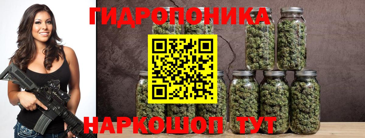 Севастополь  Конопля план  Марихуана OG Kush  Вход с VPN 